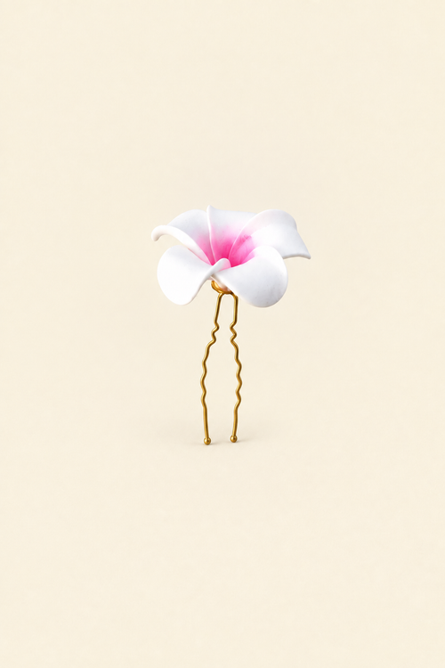 Flower piece isolated on warm ivory